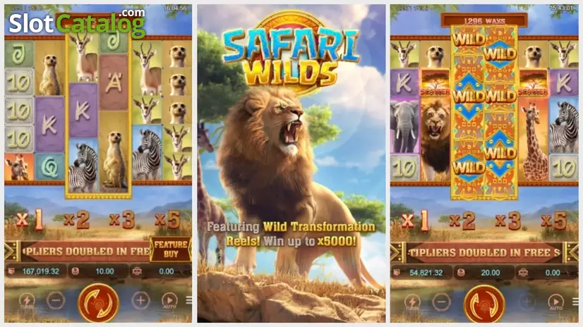 Safari Wilds 3